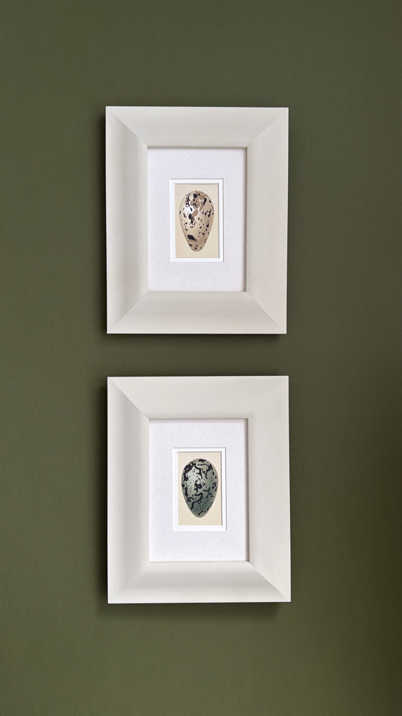 The Antique Eggs