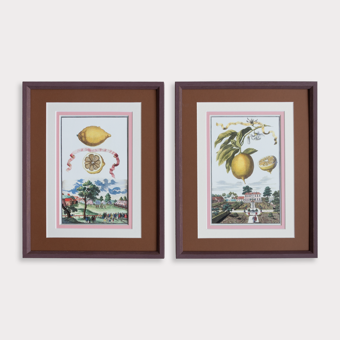The Marla & Primrose x Giddy Prints