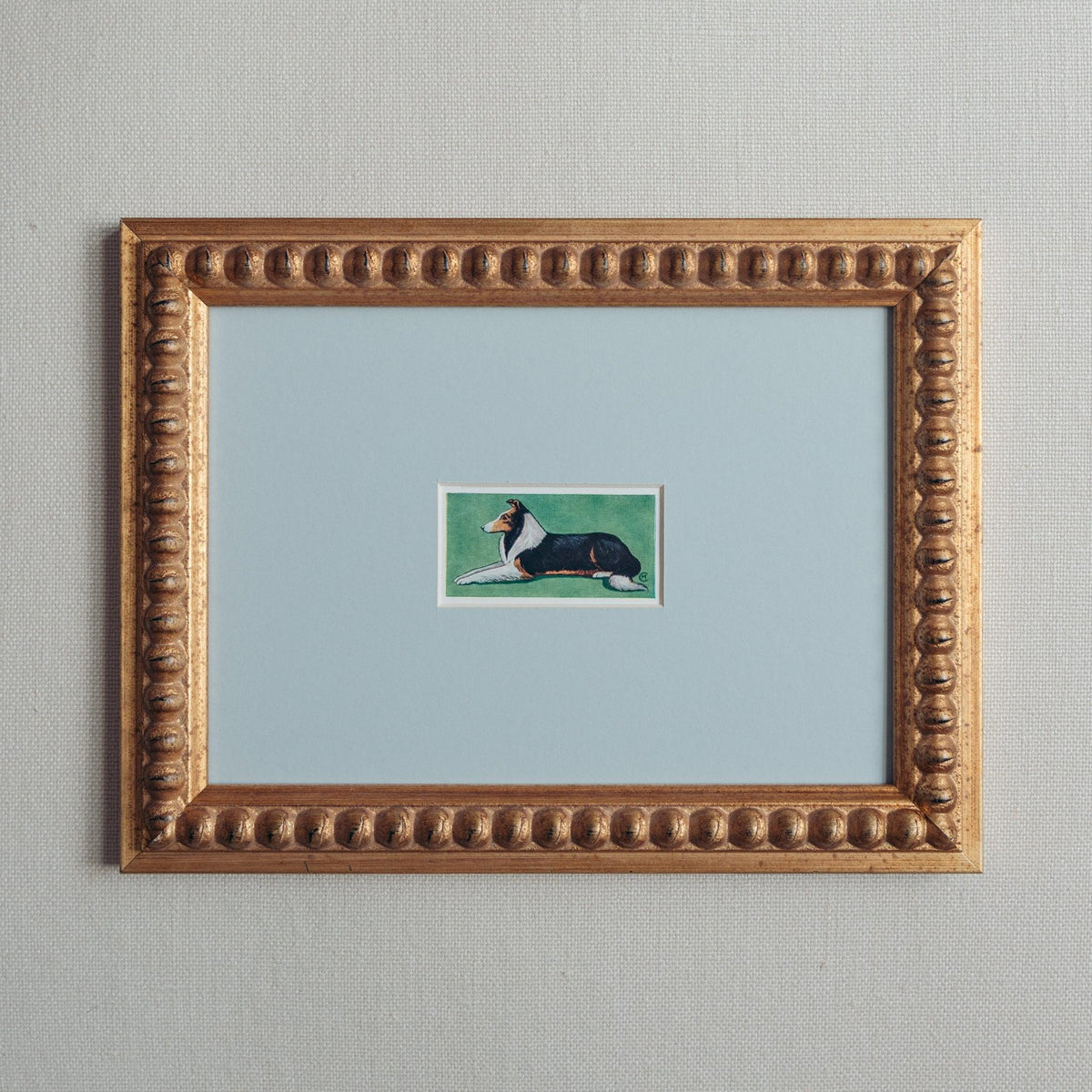 The Mid-Century Dogs