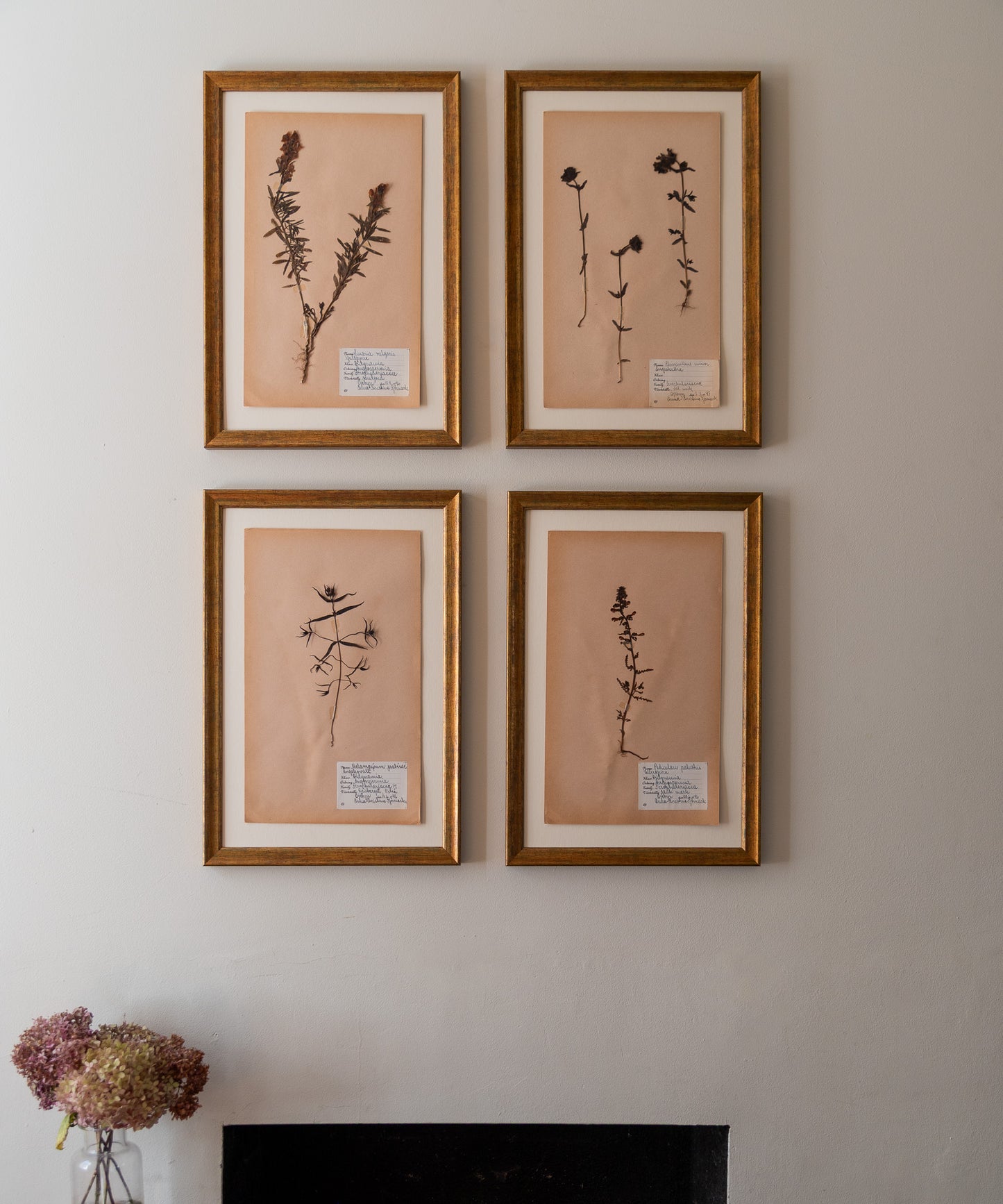 The Antique Botanicals