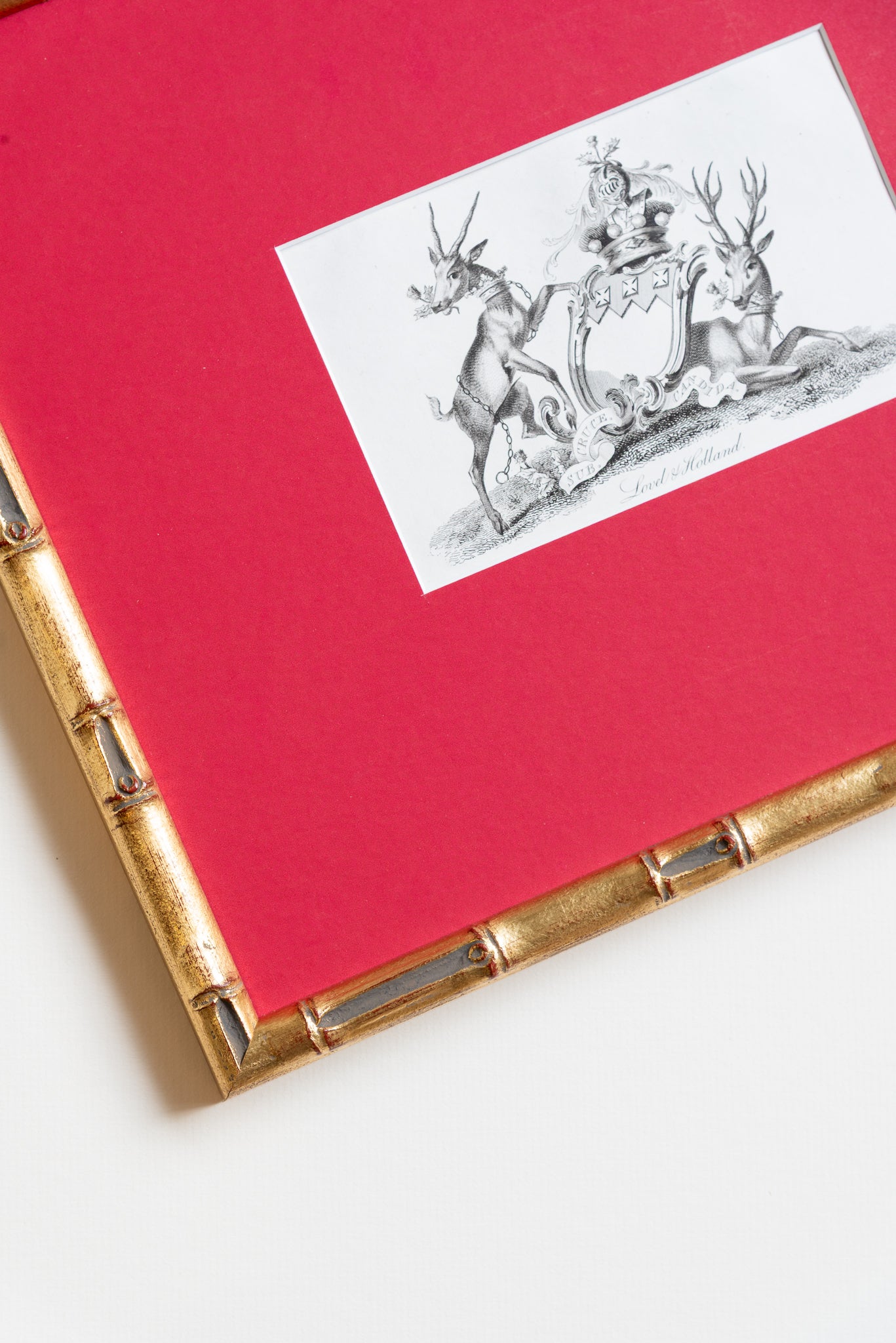 The Antique Coat of Arms