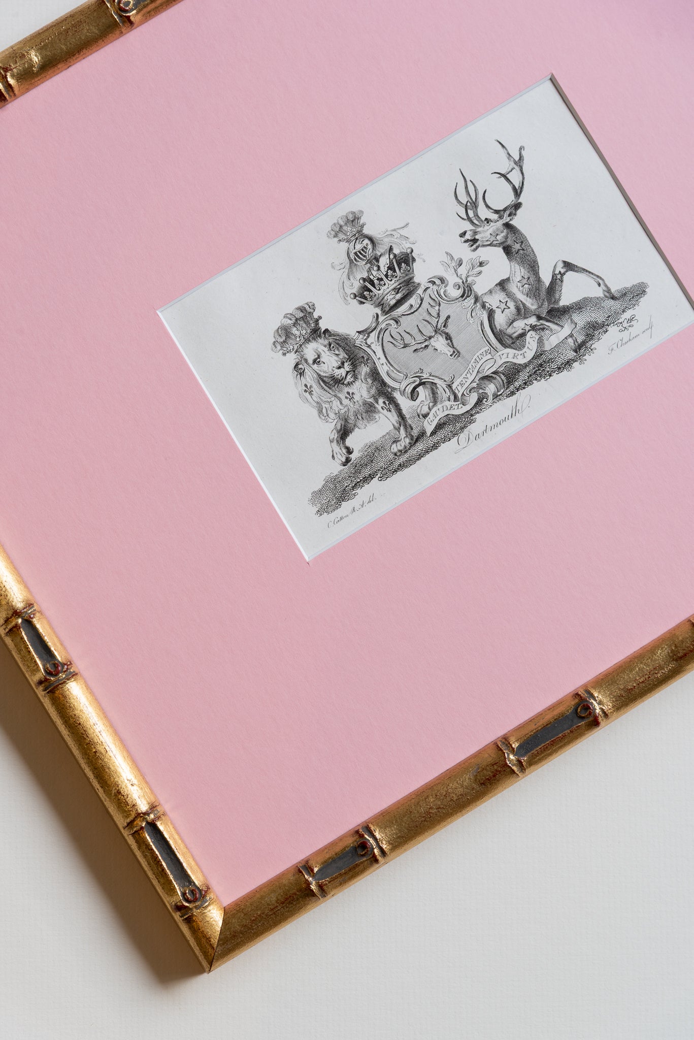 The Antique Coat of Arms