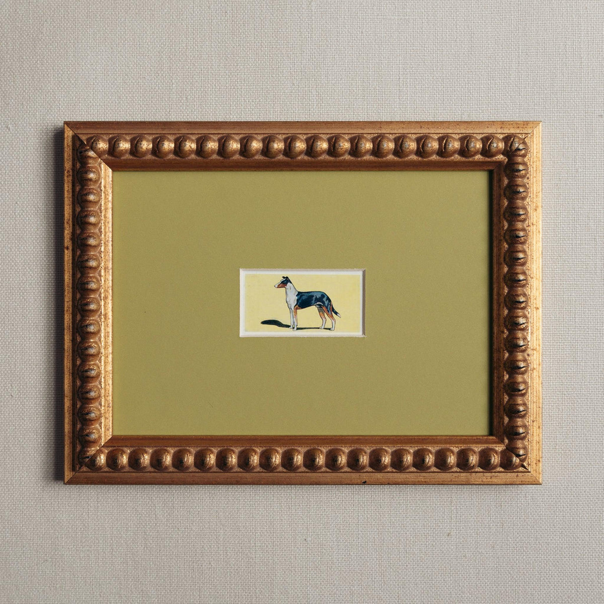 The Mid-Century Dogs