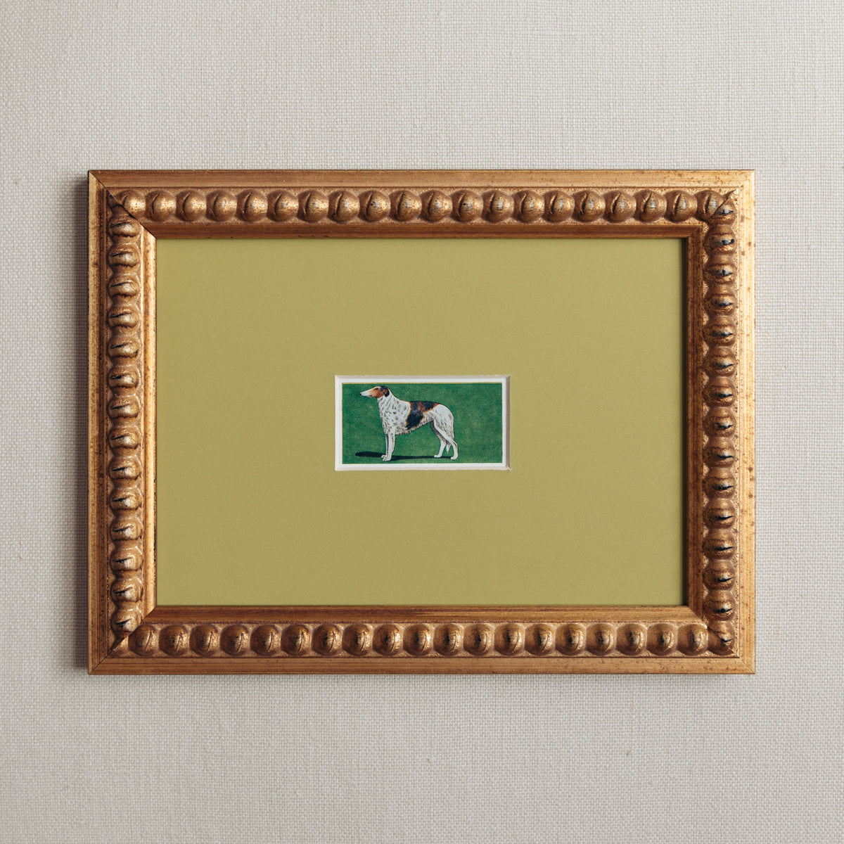 The Mid-Century Dogs