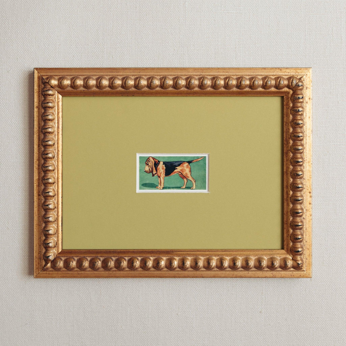 Handmade bobbin frame in antique style gold with green mount, framing a mid century lithograph of a Bloodhound. Only available at Giddy Prints.