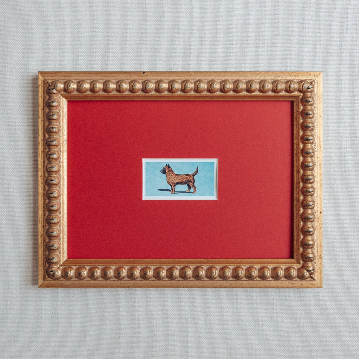 Handmade bobbin frame in antique style gold with red mount, framing a mid century lithograph or a Cairn Terrier. Only available at Giddy Prints.
