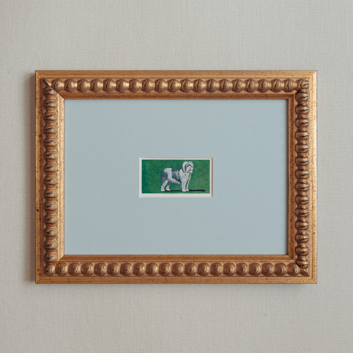 The Mid-Century Dogs