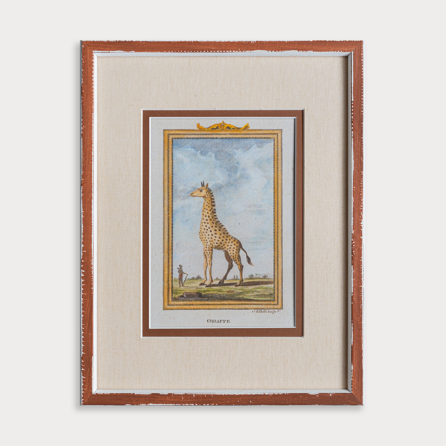 The Great Safari