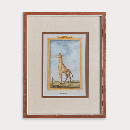 The Great Safari