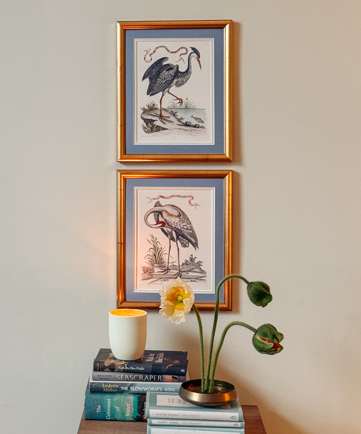 The Birds In Gold
