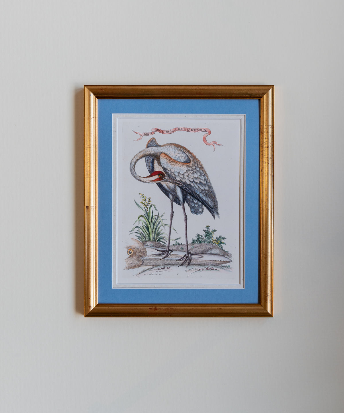 The Birds In Gold
