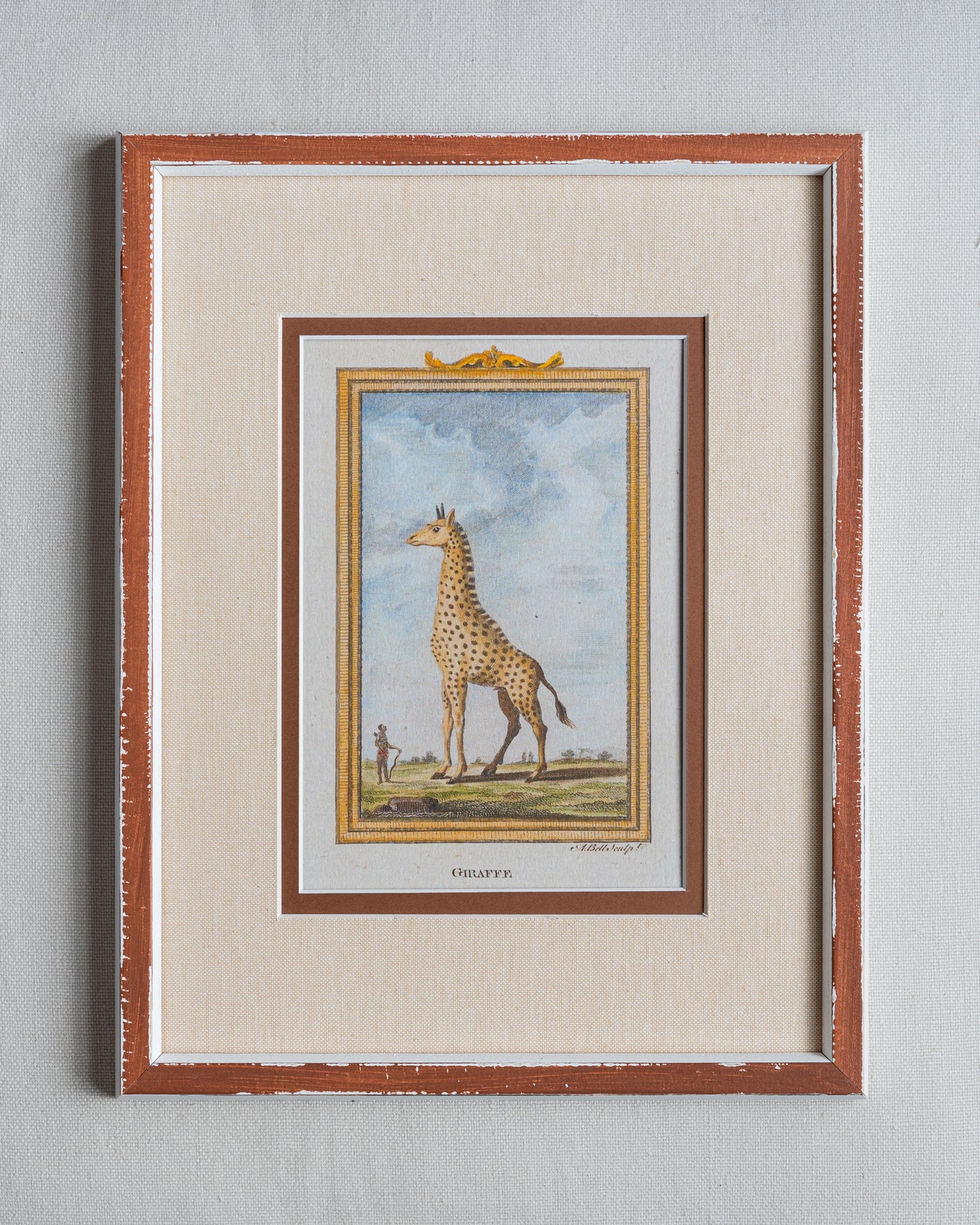 The Great Safari