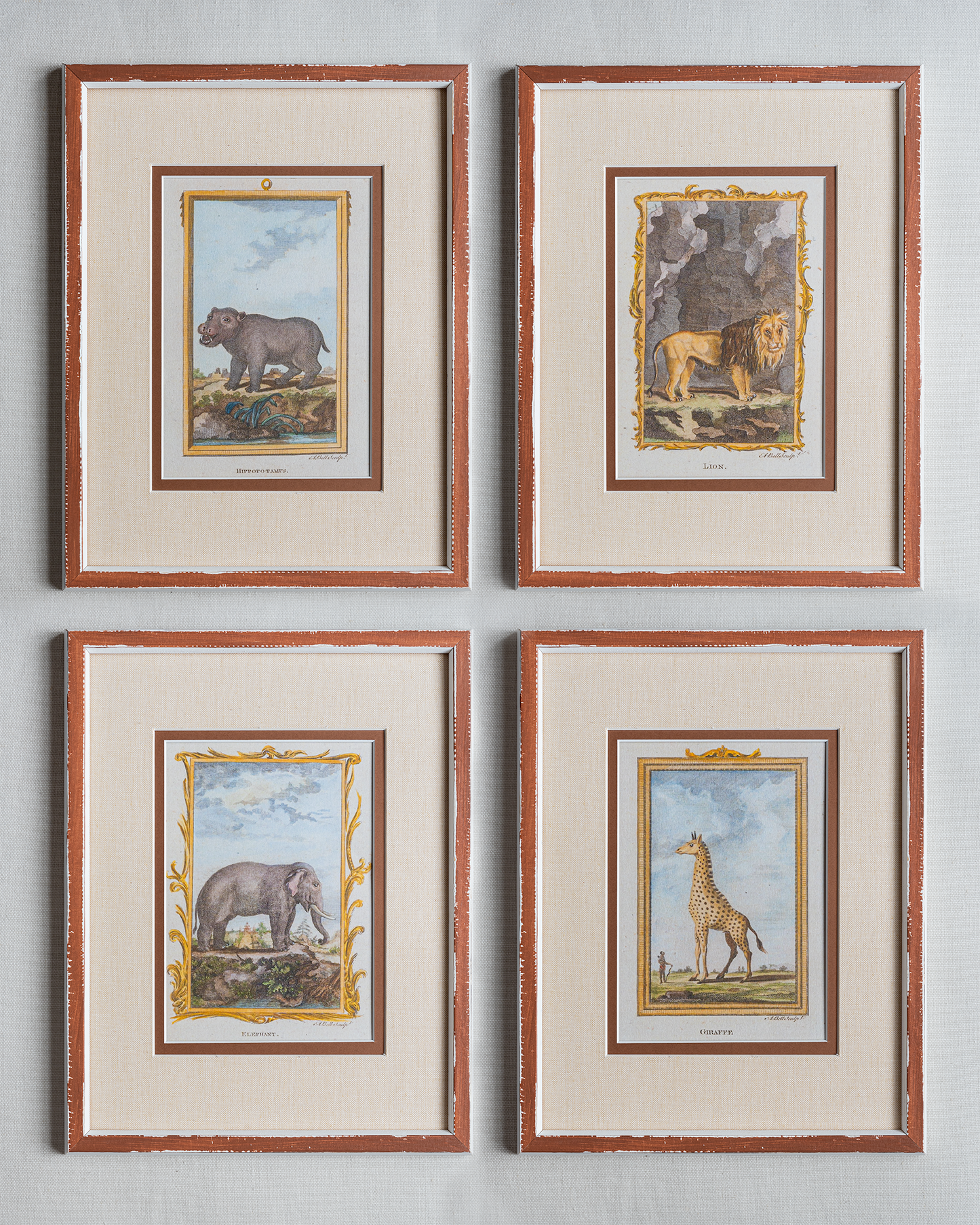 The Great Safari