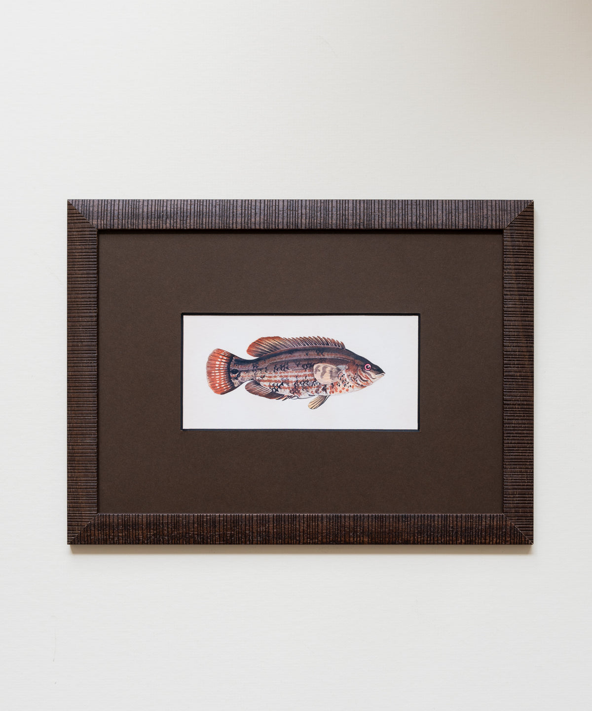 The School of Fish