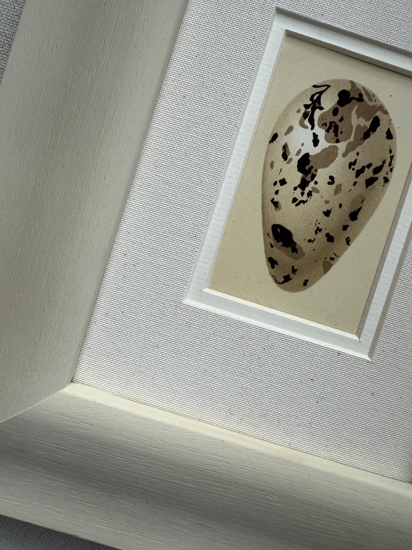 The Antique Eggs