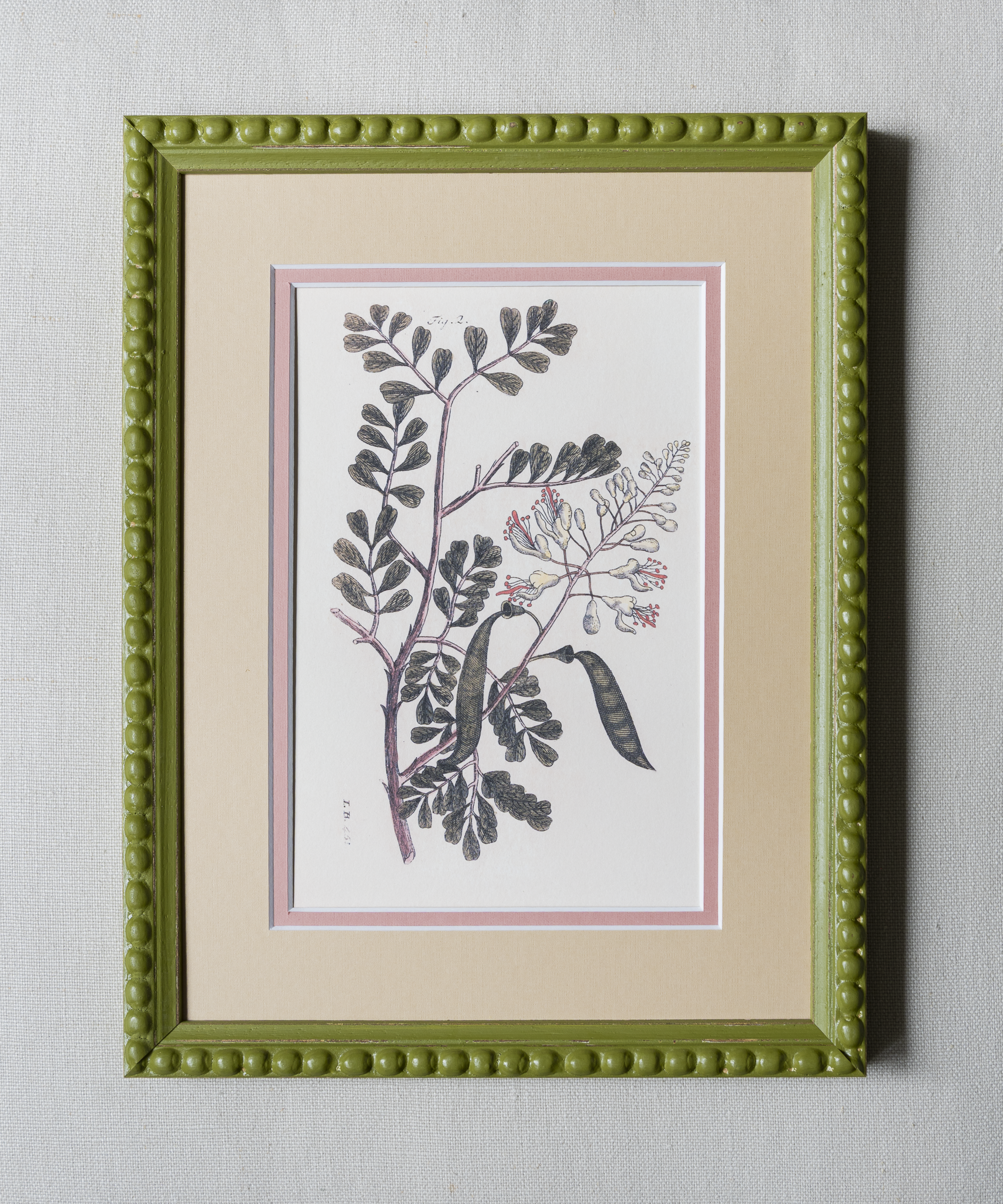 The Green Botanicals