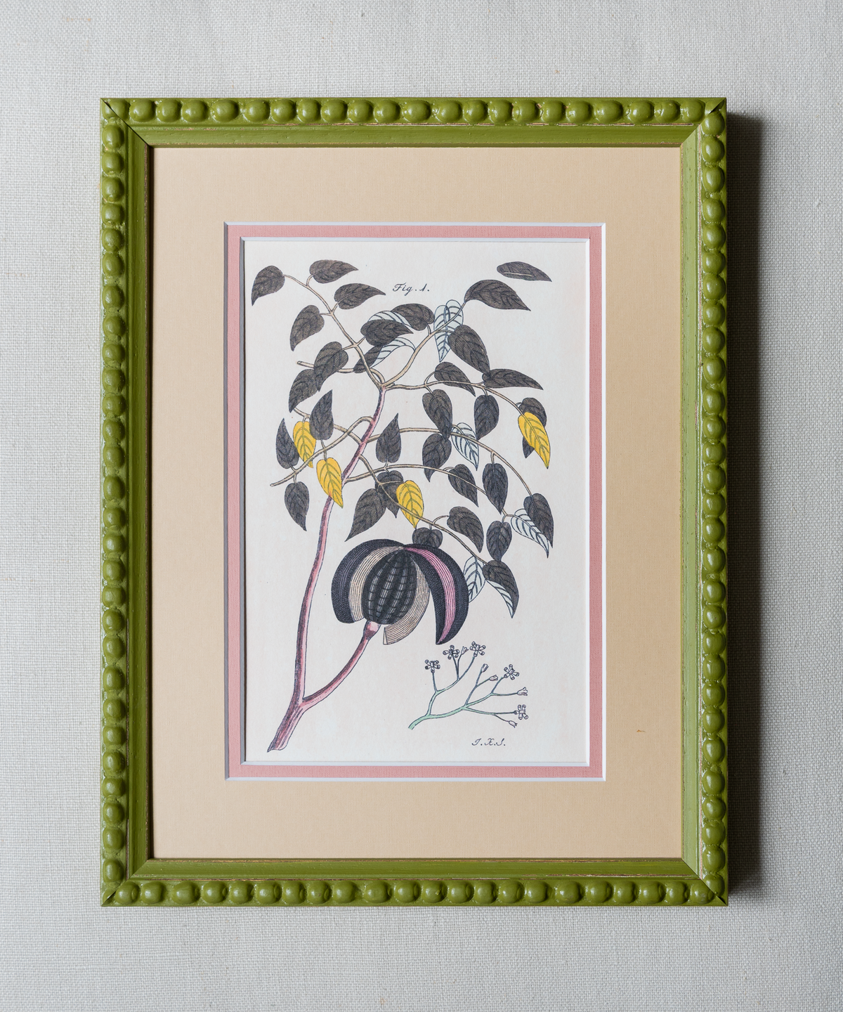 The Green Botanicals