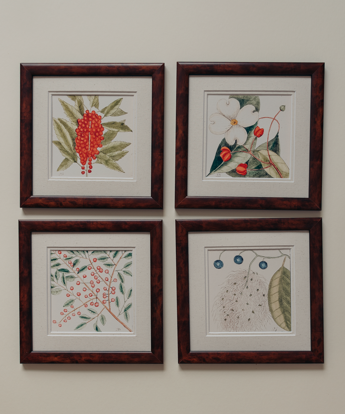 The Antique Botanicals