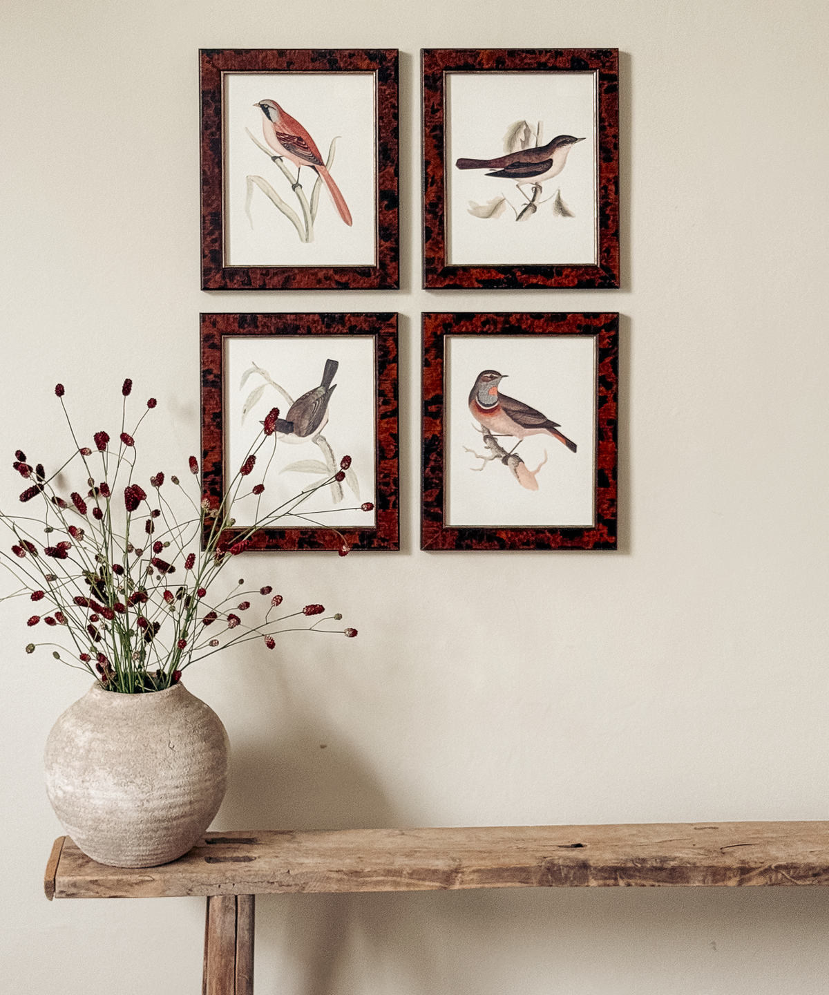 The British Birds