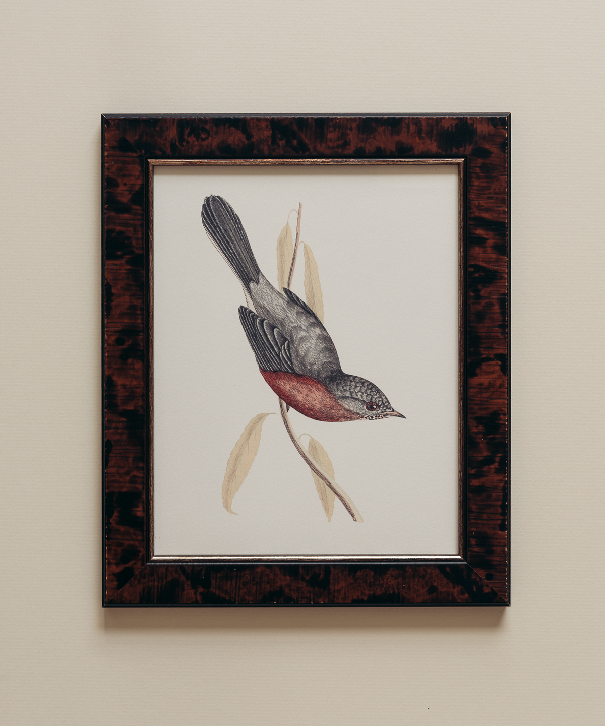 The British Birds