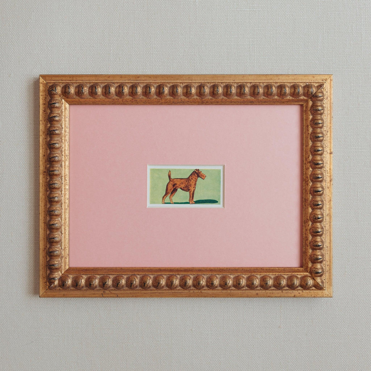 What Are the Best Christmas Gifts for Dog Lovers Who Have Everything?