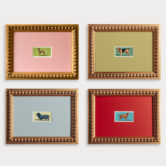 antique print collection of mid-century dogs