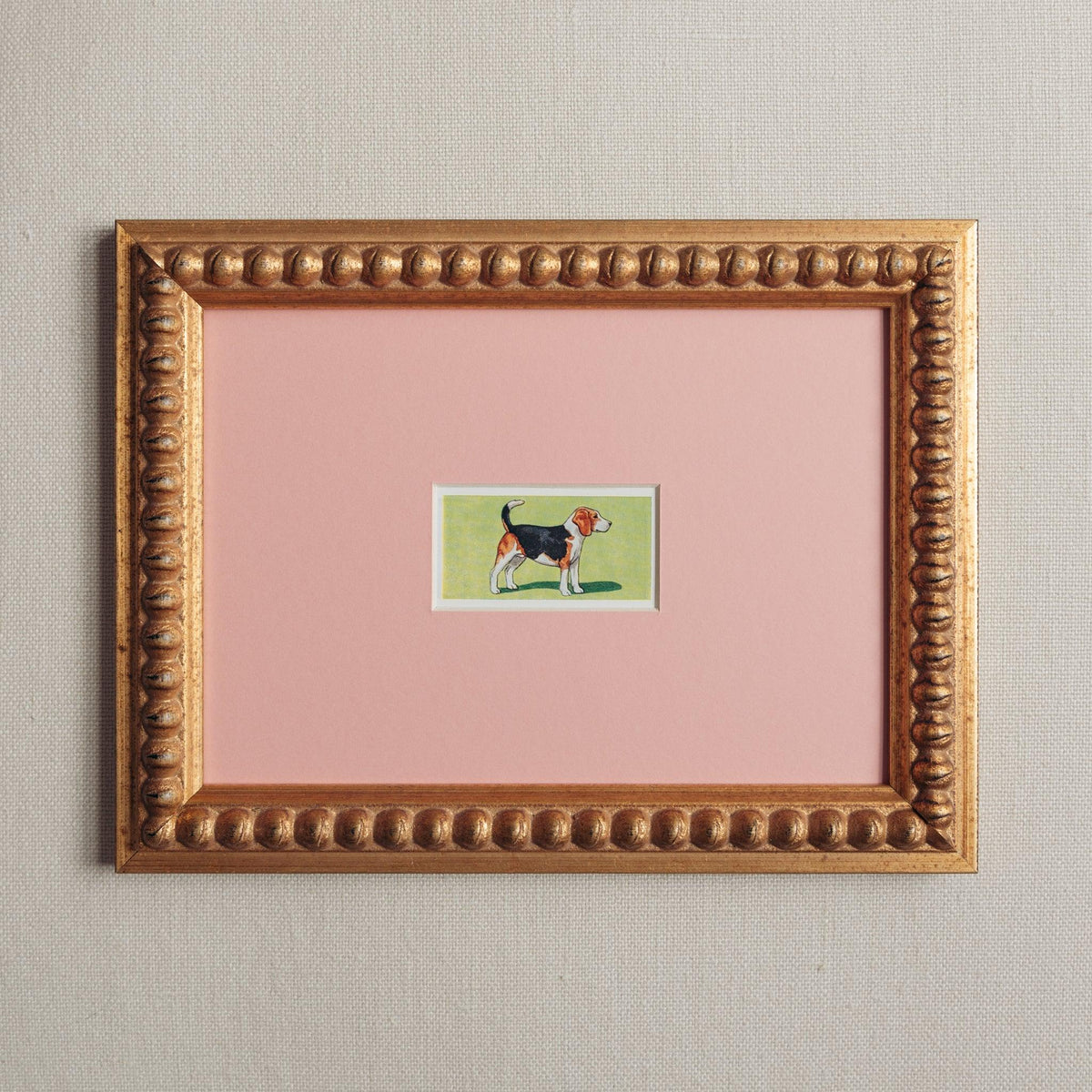 Handmade bobbin frame in antique style gold with a baby pink mount framing a mid-century lithograph of a beagle. Only available at Giddy Prints. 