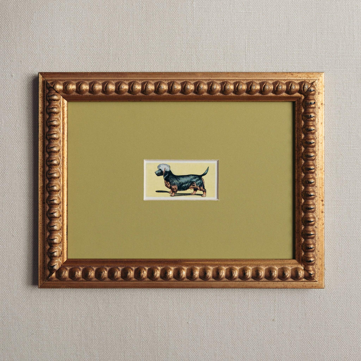 Handmade bobbin frame in antique style gold with green mount, framing lithograph of a Dandie Dinmont Terrier. Only available at Giddy Prints.