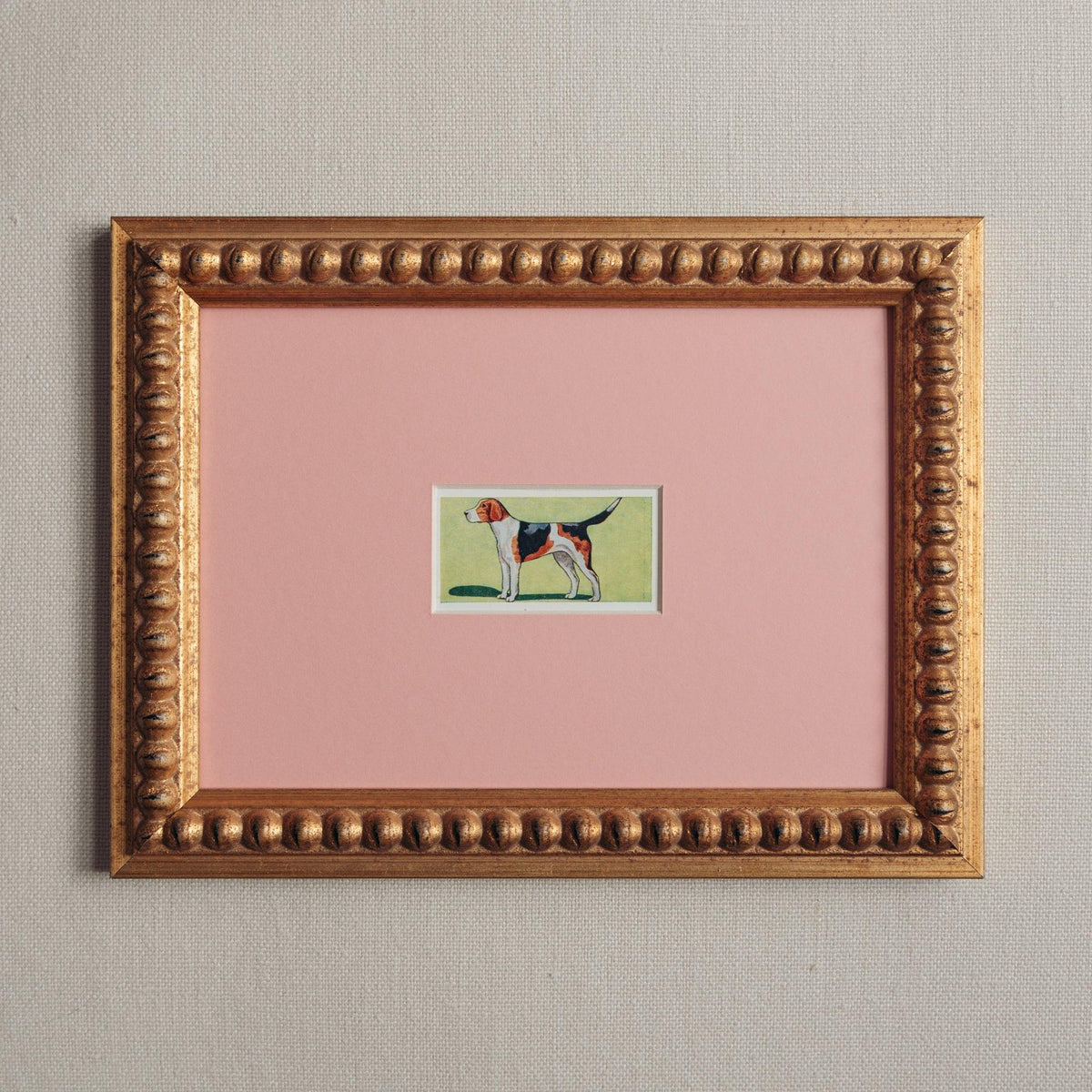 The Mid-Century Dogs