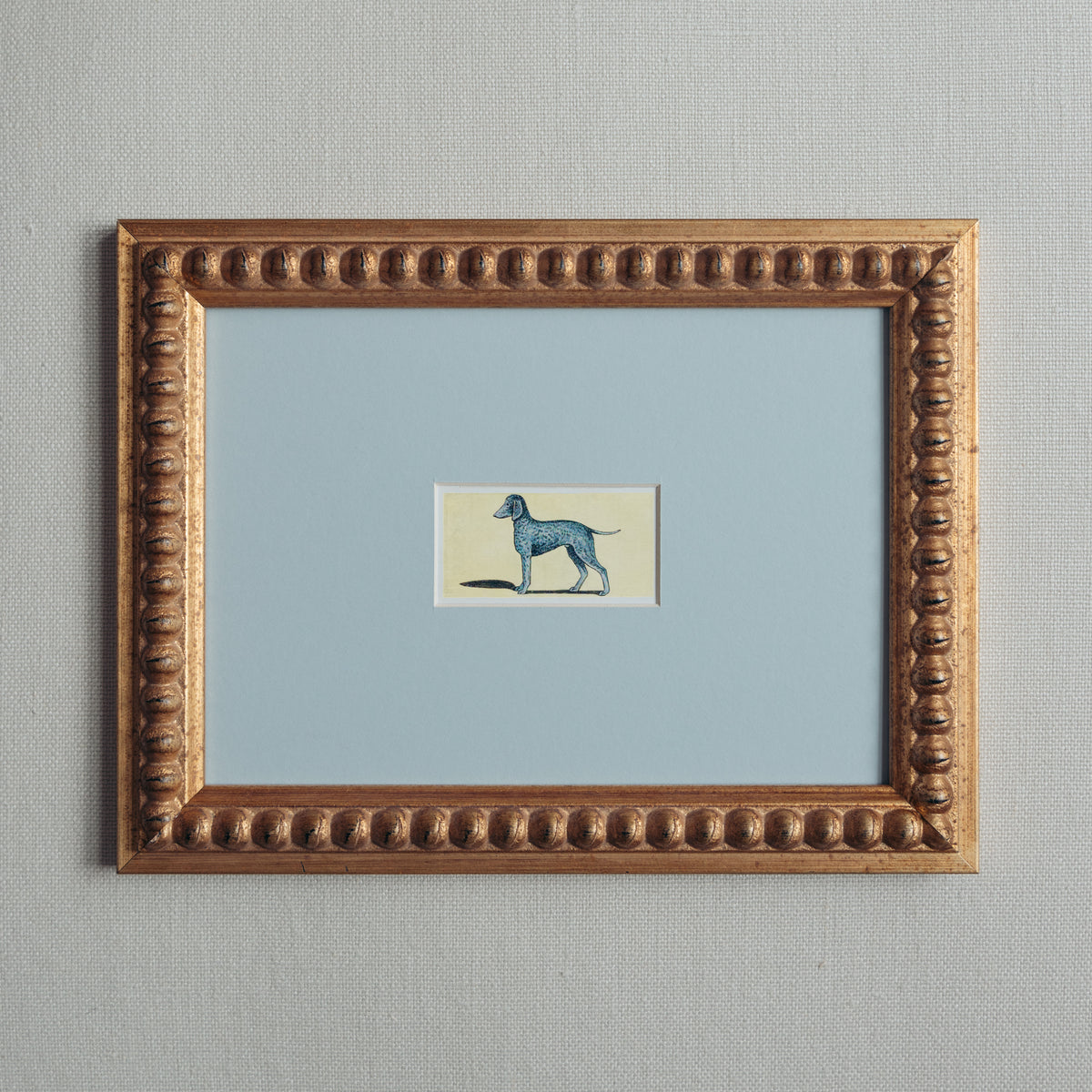 The Mid-Century Dogs