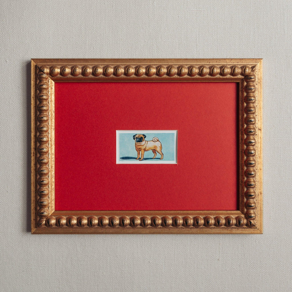 Handmade bobbin frame in antique style gold with red mount framing a mid-century image of a pug dog. Available only at Giddy Prints.