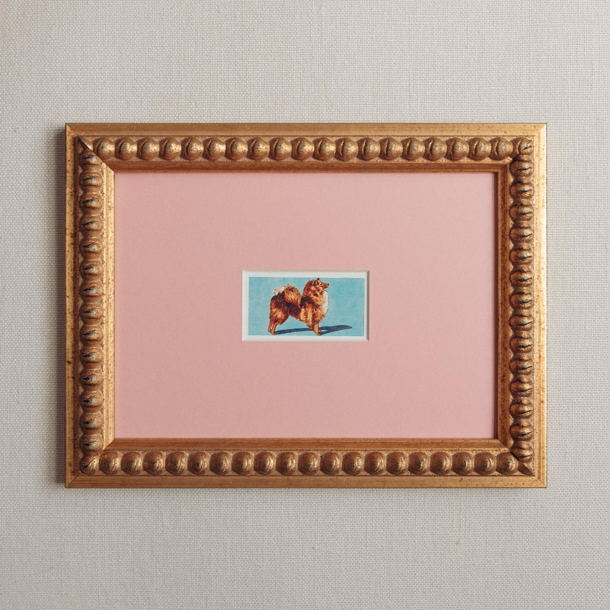 Handmade bobbin frame in antique style gold with pink mount framing a mid century lithograph of a Pomeranian dog. Available only at Giddy Prints.