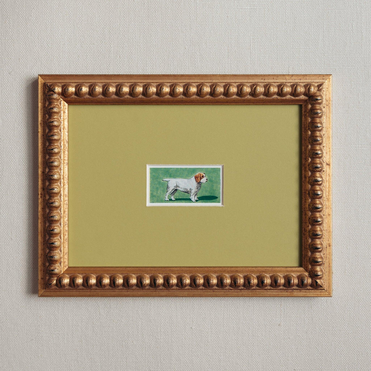 Handmade bobbin frame in antique style gold with green mount board, framing a lithograph of a Clumber Spaniel. Only available at Giddy Prints.