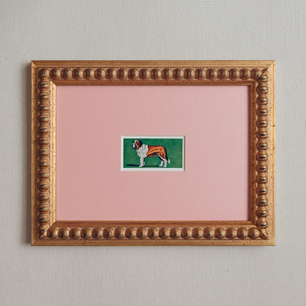 Handmade bobbin frame in antique style gold with pink mount, framing a mid-century lithograph of a st. bernard. Only available at Giddy Prints.