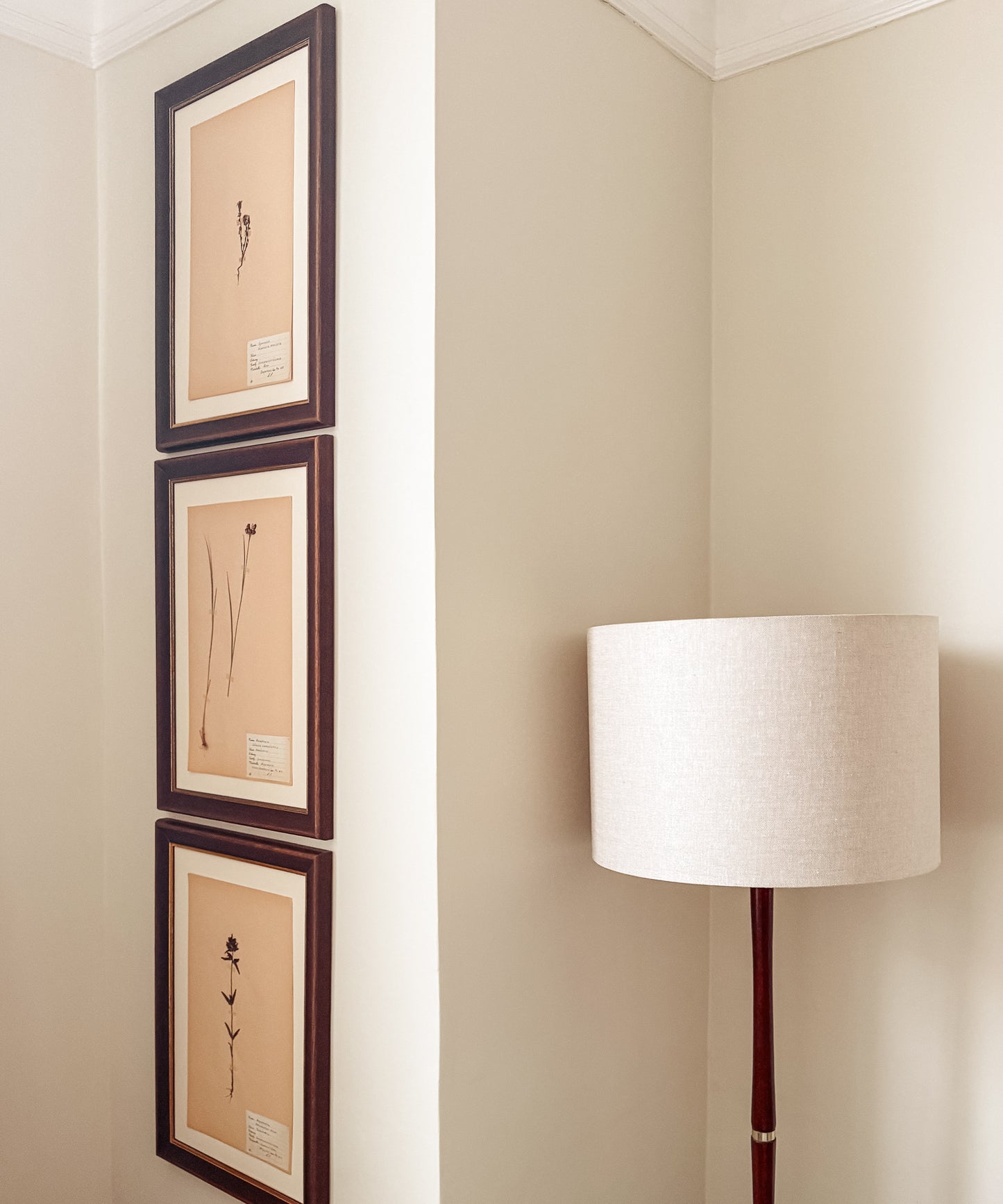 The Antique Botanicals