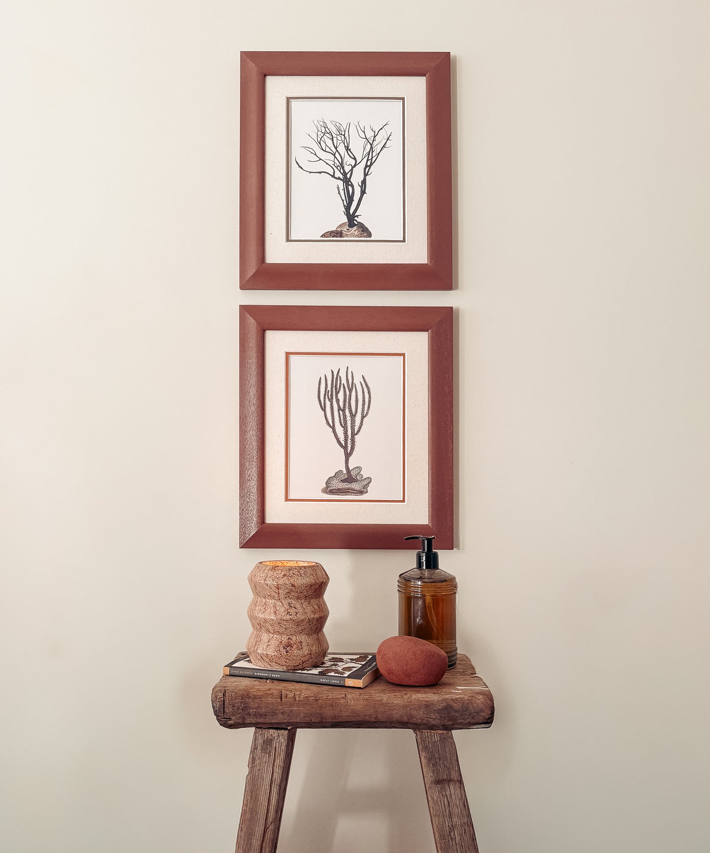 The Antique Corals