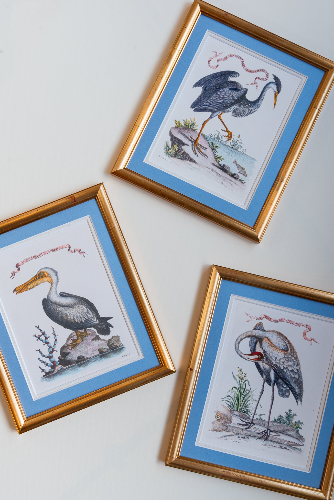 The Birds In Gold