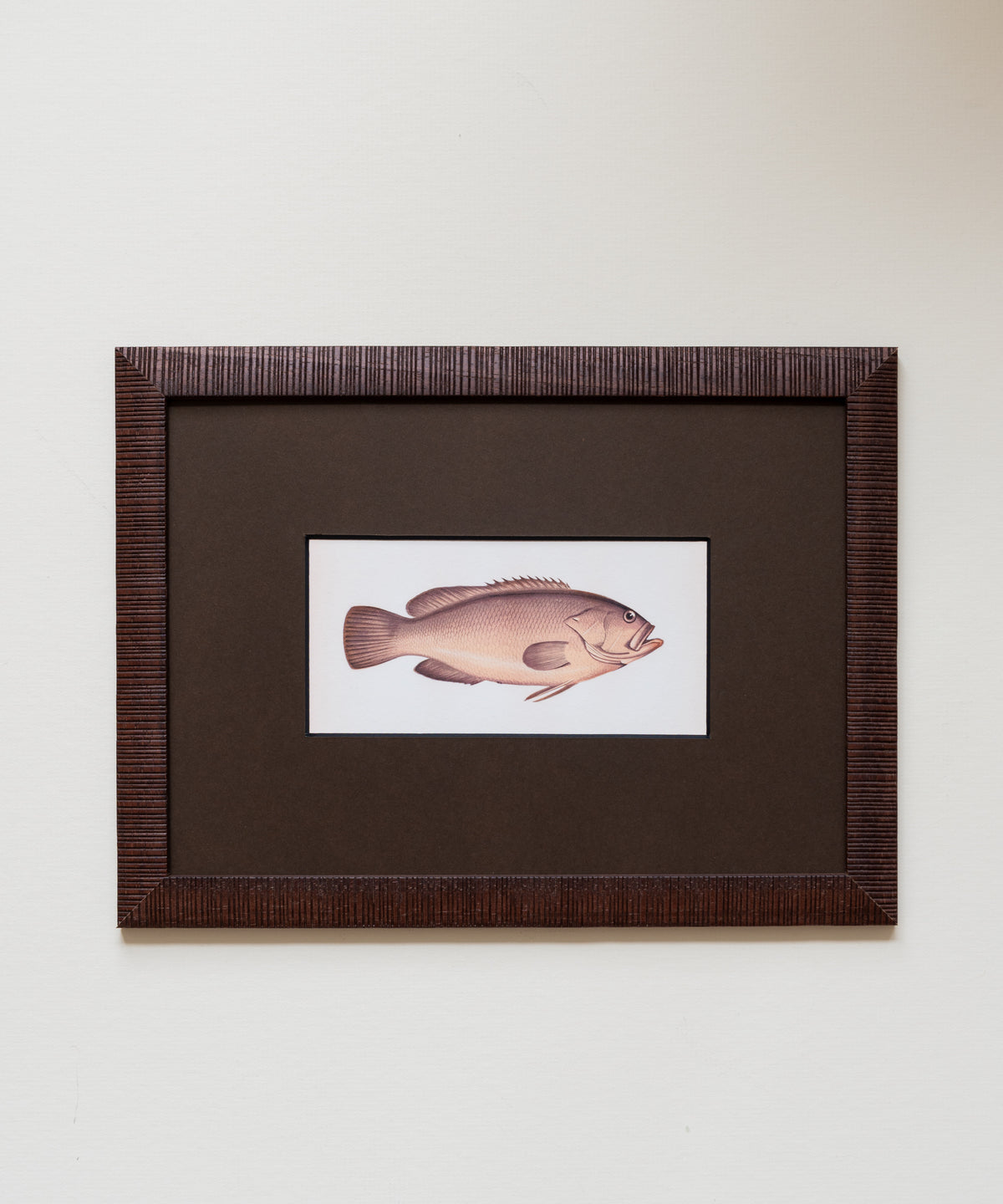 The School of Fish