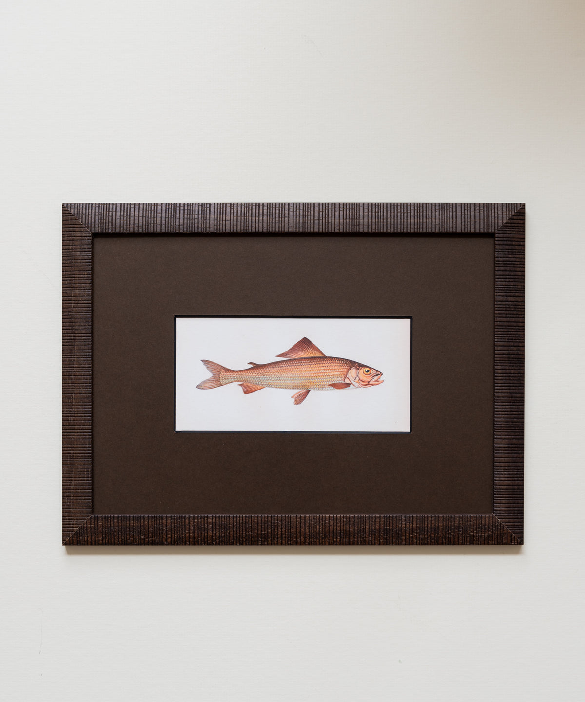 The School of Fish