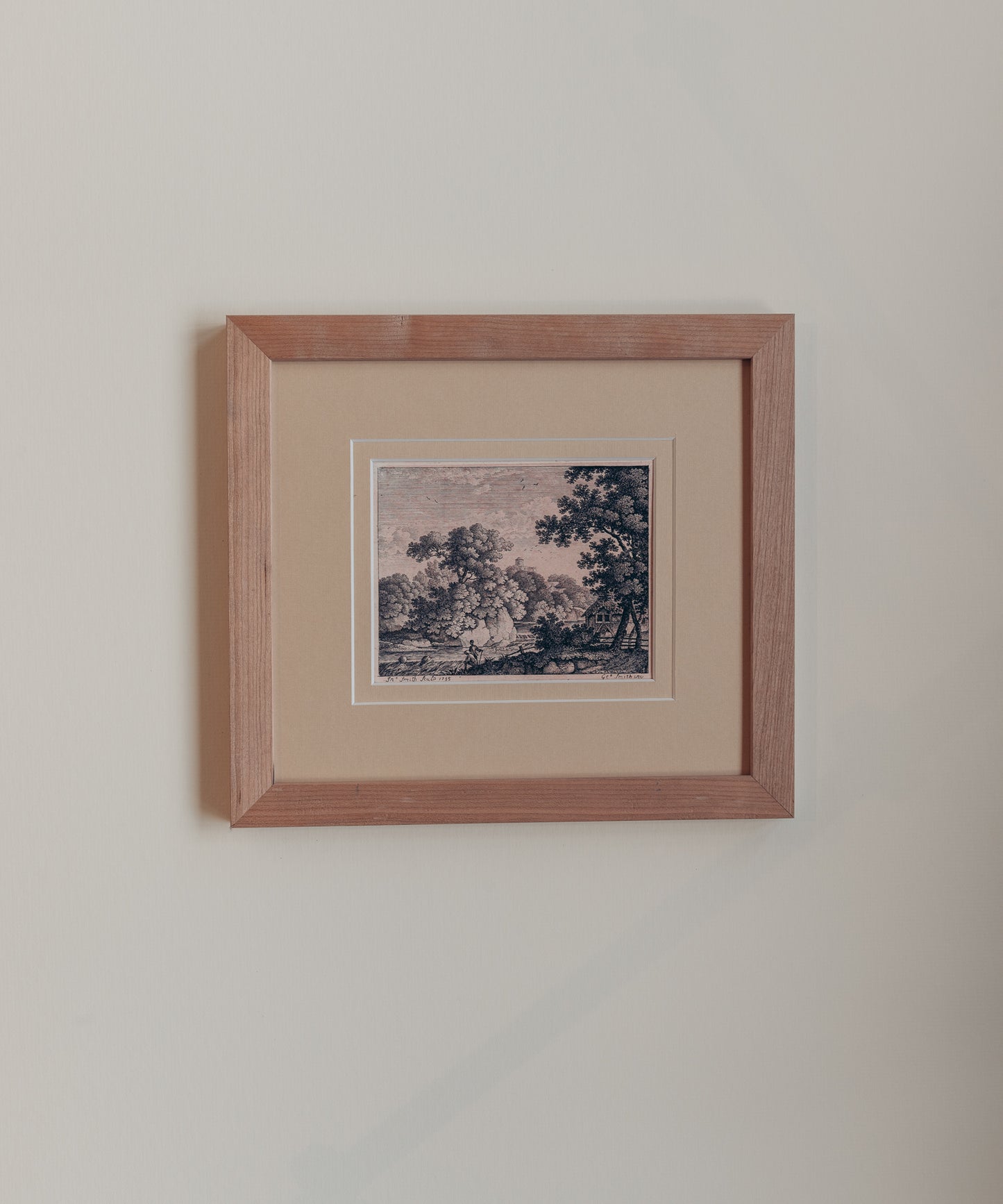 The Ancient Woodland