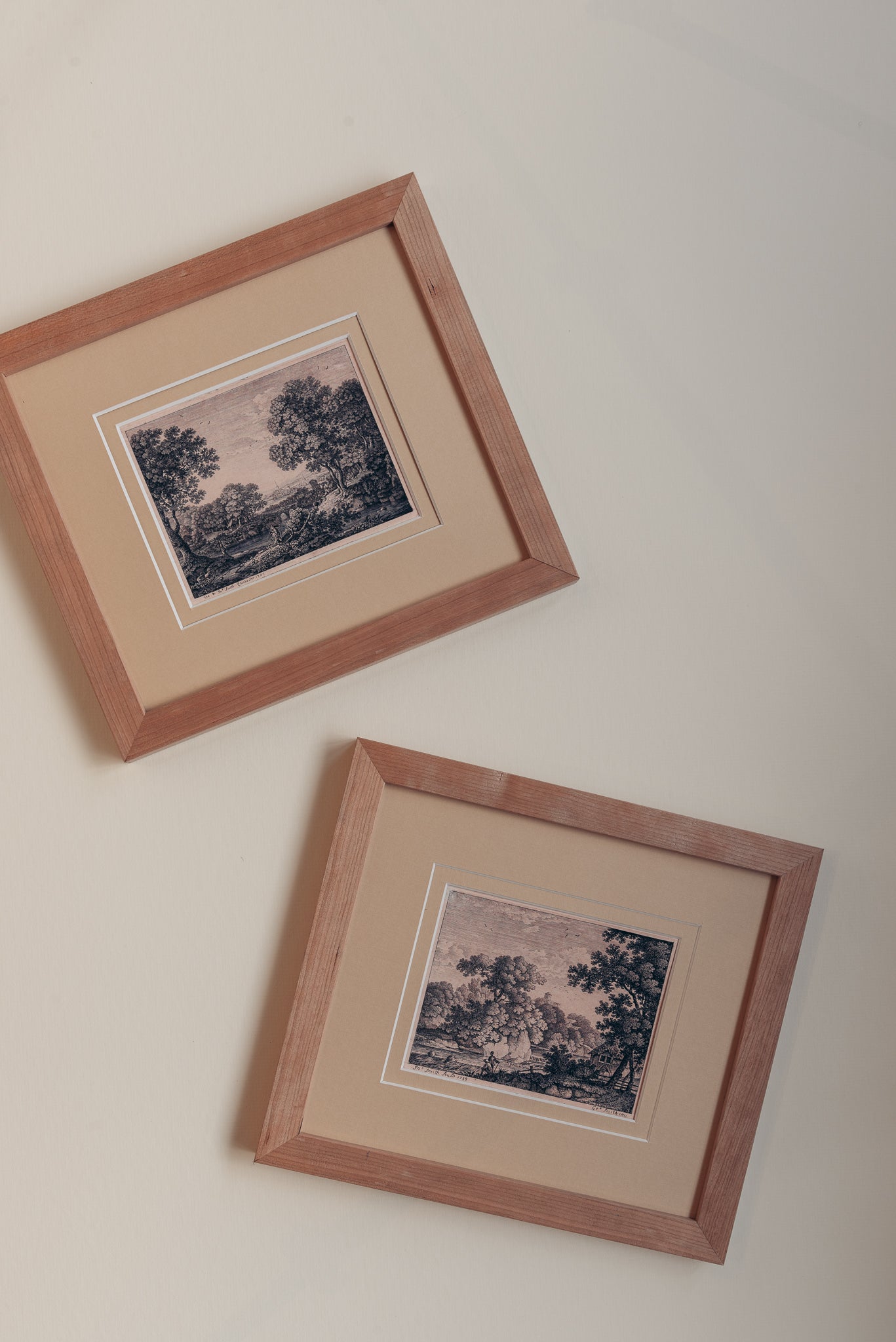 The Ancient Woodland