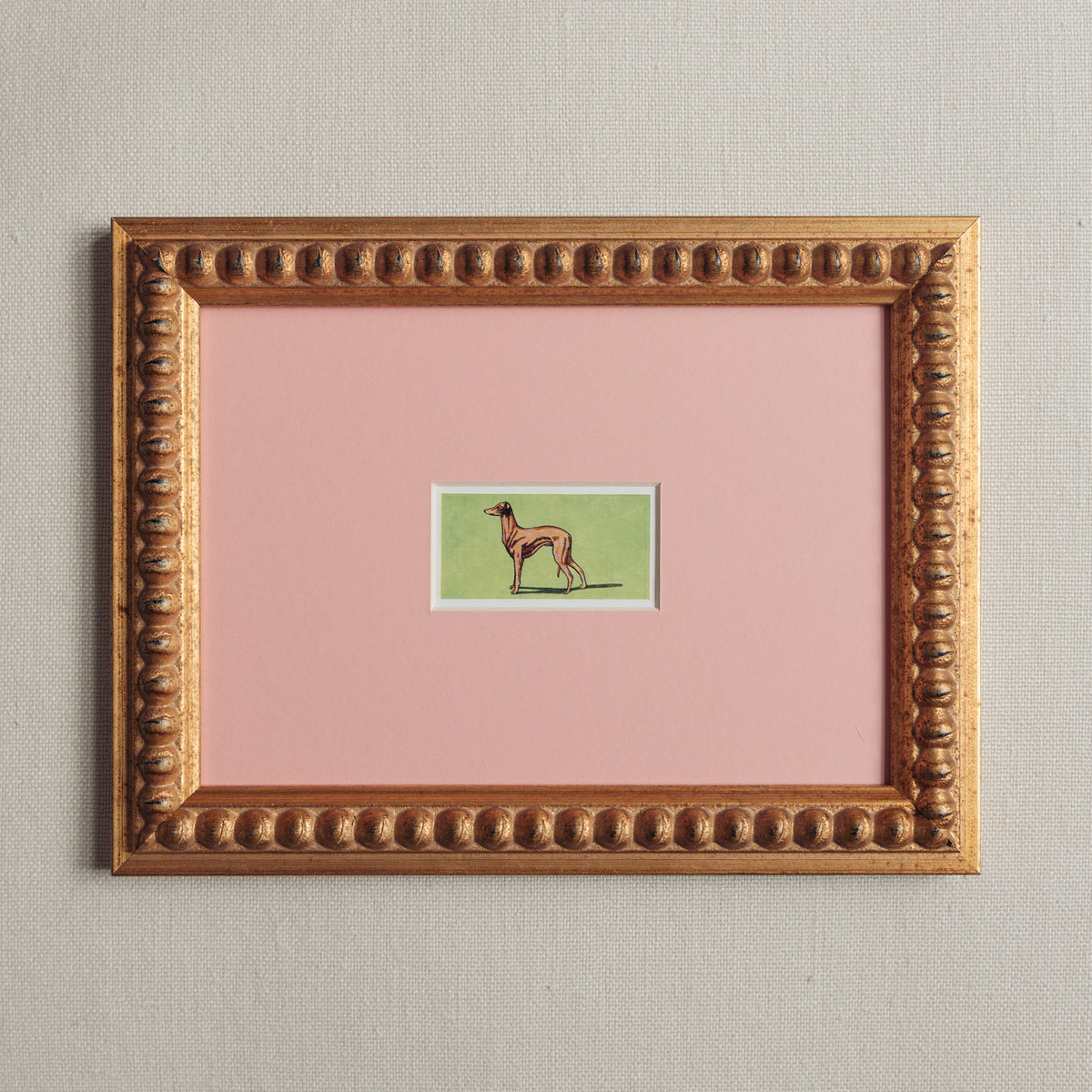 The Mid-Century Dogs