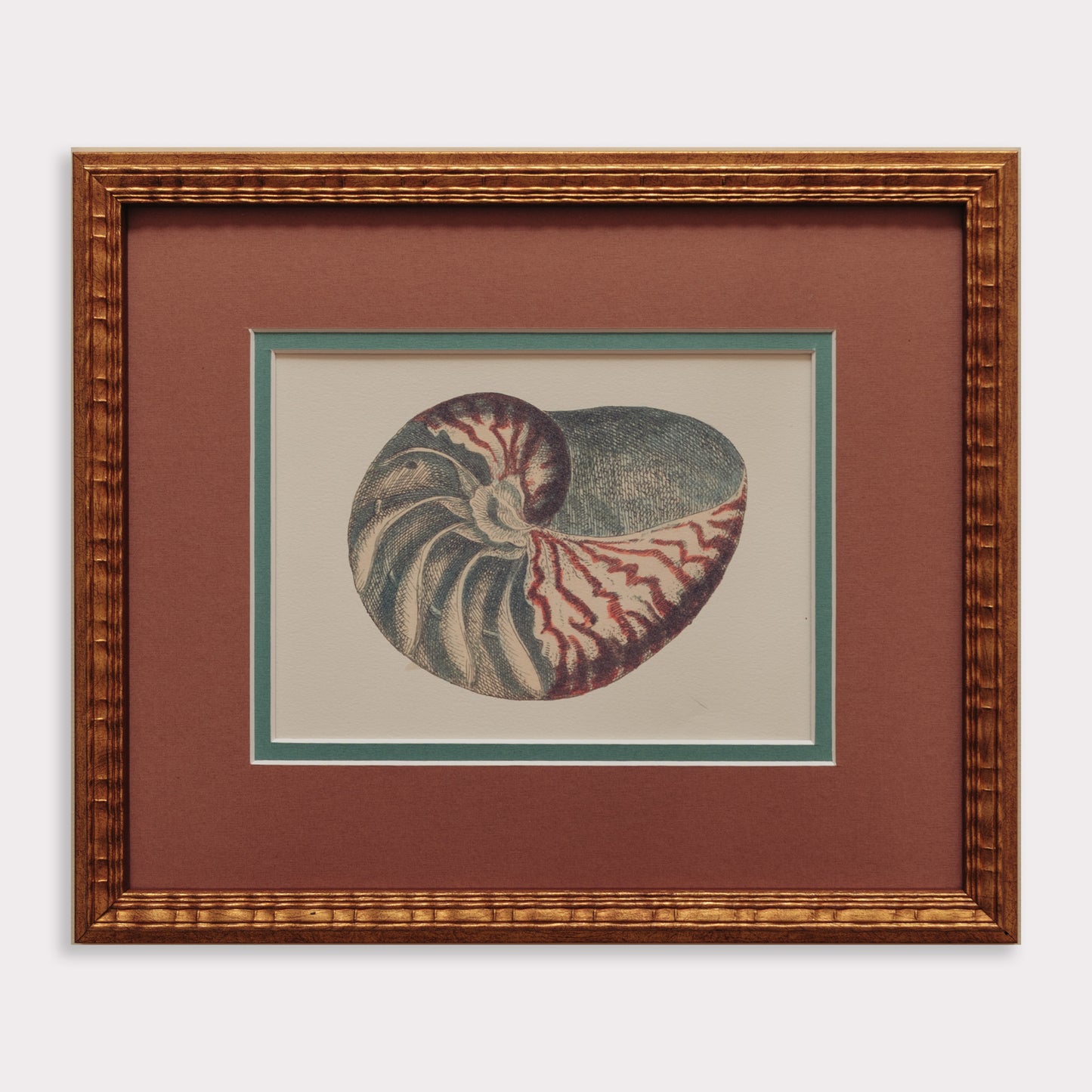 The Nautilus Studies