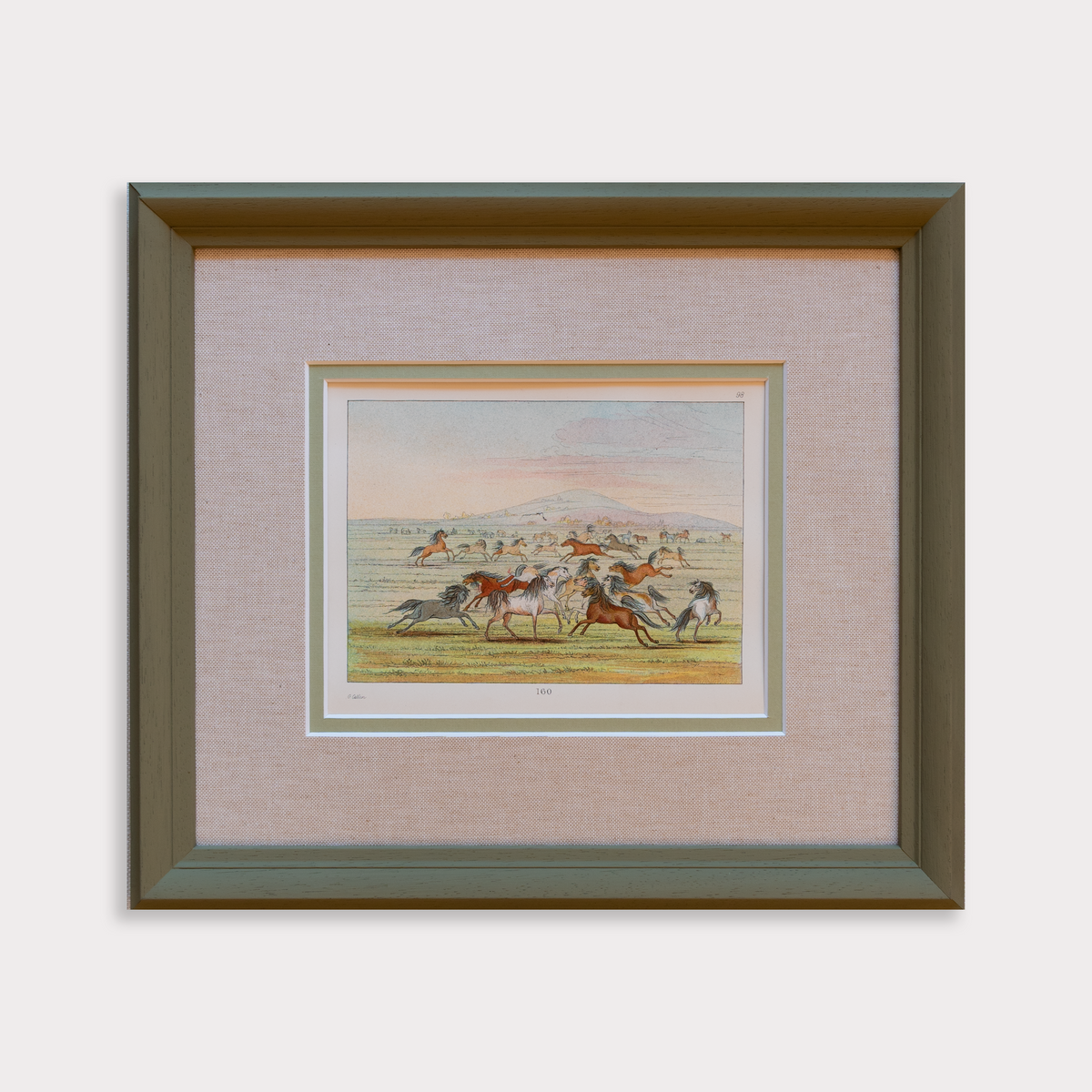 The Wild Horses of Texas