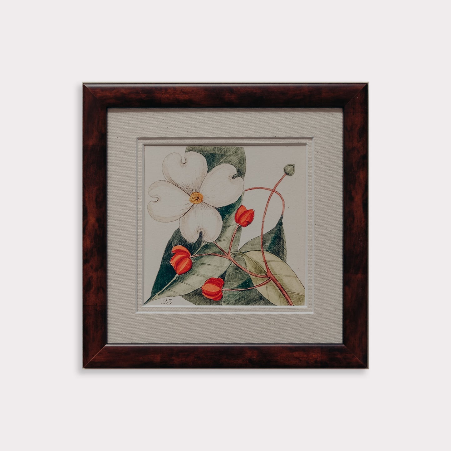 The Antique Botanicals