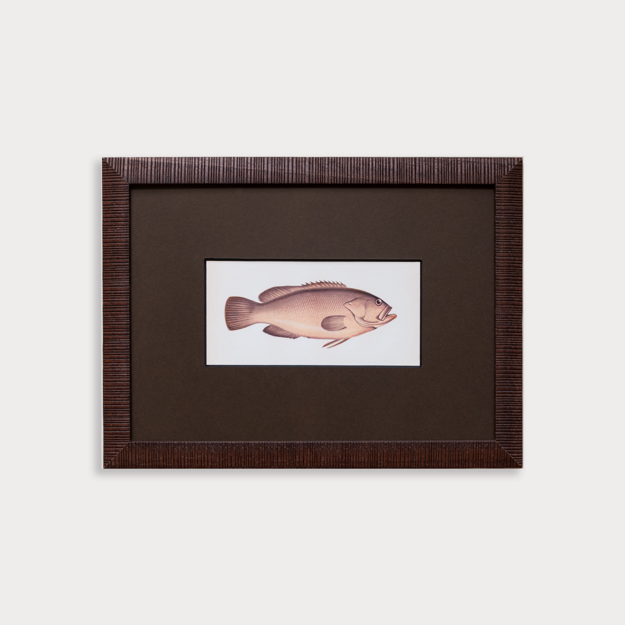The School of Fish