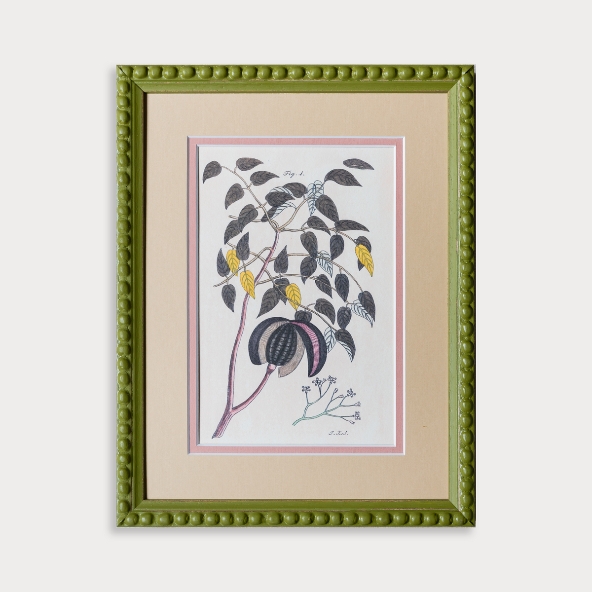 The Green Botanicals