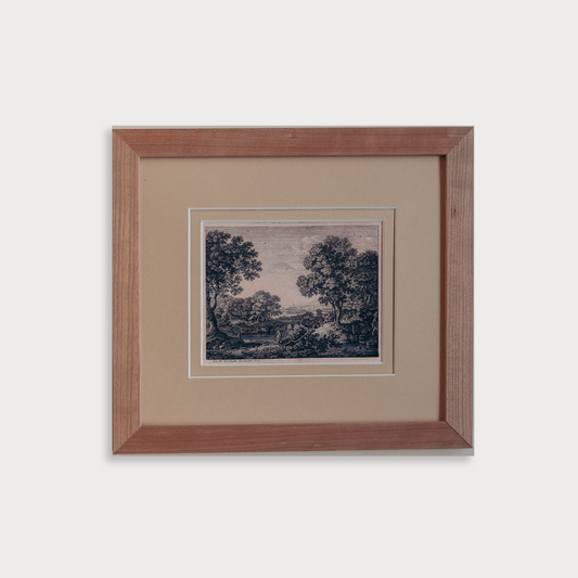 The Ancient Woodland