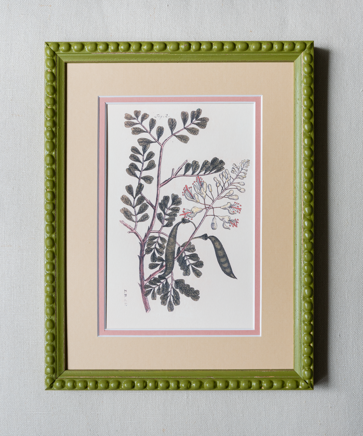 The Green Botanicals