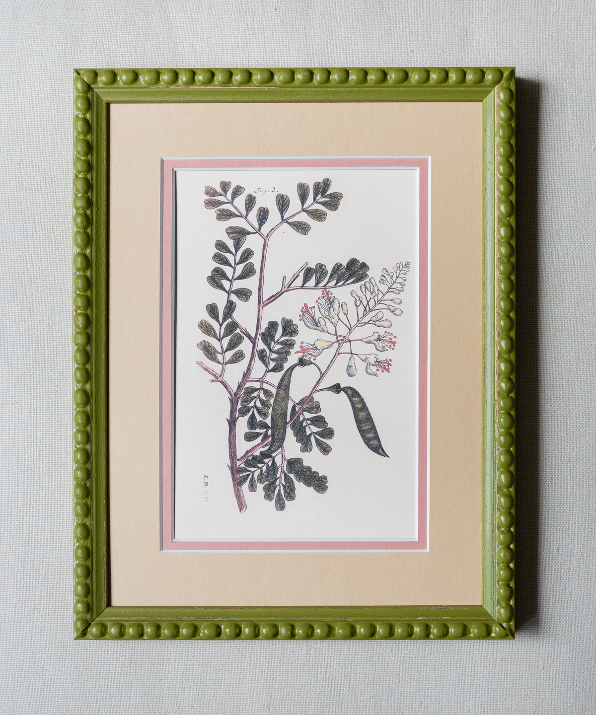 The Green Botanicals